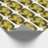 Papier Cadeau Citrine Gemstone Jaune (Coin)