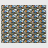 Papier Cadeau Citroen Diane (Plat)