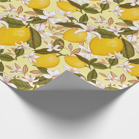Papier Cadeau Citrus (Coin)