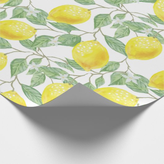 Papier Cadeau Citrus (Coin)