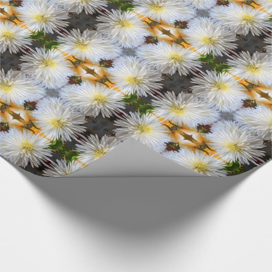 Papier Cadeau Claricia (Coin)