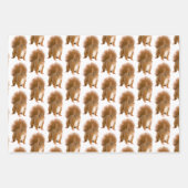 Papier Cadeau Classique Écureuil Rouge Fluffy (Devant)