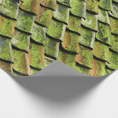 Papier Cadeau Close-up photo of green shingle roof (Coin)