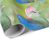 Papier Cadeau Closeup turaco de fischer (Coin rond)