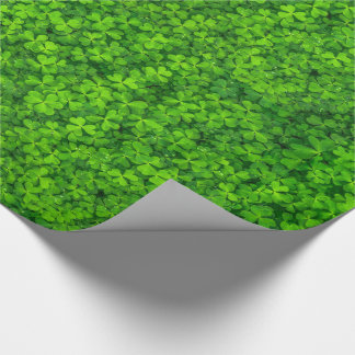 Papier Cadeau Clovers verts à feuilles avec gouttes d'eau