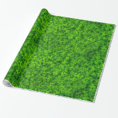 Papier Cadeau Clovers verts à feuilles avec gouttes d'eau (Déroulé)