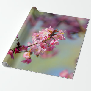 Papier Cadeau Cluster De Fleurs De Sakura Sur Vert, Bleu, Violet
