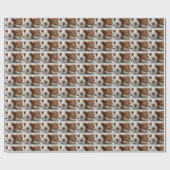 Papier Cadeau cobaye (Plat)