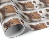 Papier Cadeau cobaye (Coin rond)