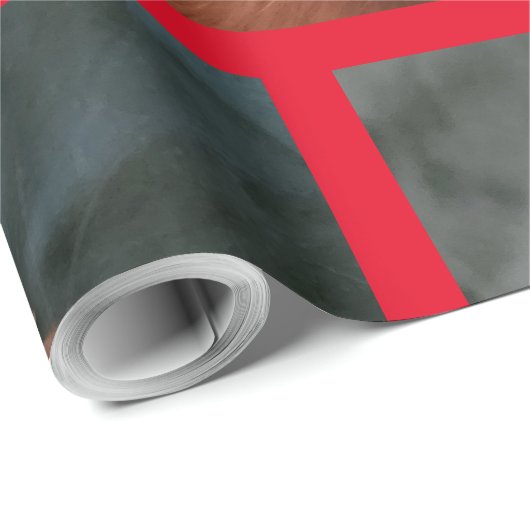 Papier Cadeau cobaye (Coin rond)