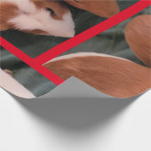 Papier Cadeau cobaye (Coin)