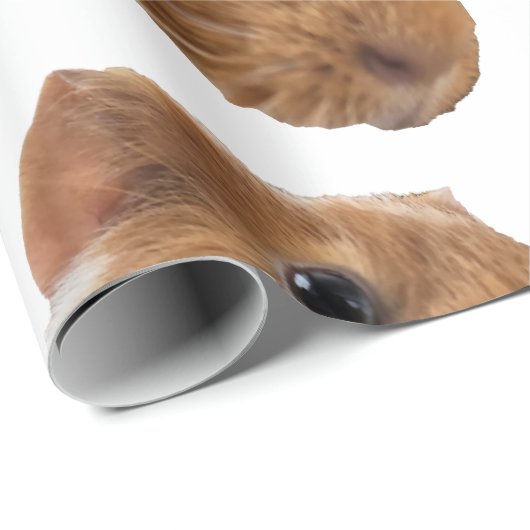 Papier Cadeau cobaye (Coin rond)