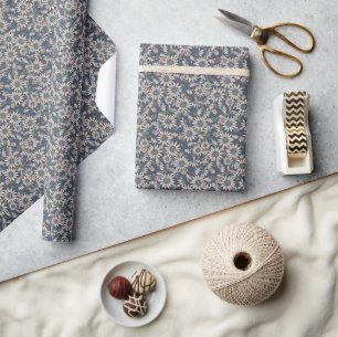 Papier Cadeau Coccinelles en bleu