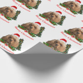 Papier Cadeau Cocker spaniel Noël (Coin)