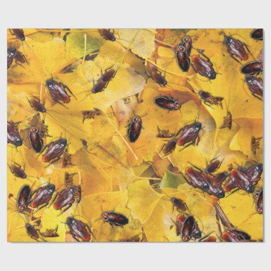 Papier Cadeau Cocktail (Plat)