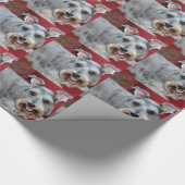 Papier Cadeau Cocos, le mini schnauzer, enveloppe de cadeau (Coin)