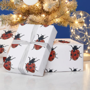 Papier Cadeau Coléoptères Insecte Coccinelle Coléoptères