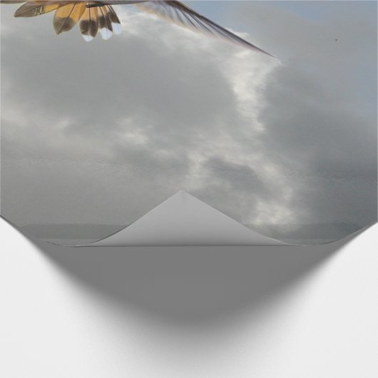 PAPIER CADEAU COLIBRI (Coin)