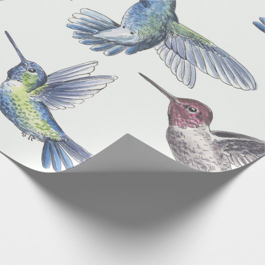 Papier Cadeau Colibri (Coin)