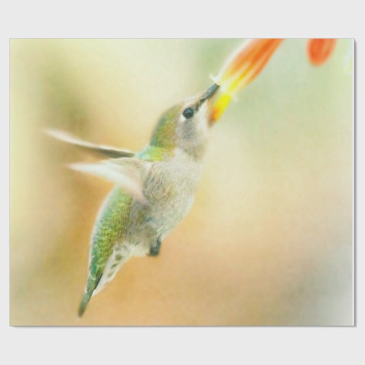 Papier Cadeau Colibri au petit matin (Plat)