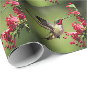 Papier Cadeau Colibri coloré (Coin rond)