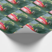 Papier Cadeau Colibri perché (Coin)