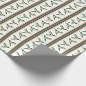 Papier Cadeau Colibri rayé (Coin)