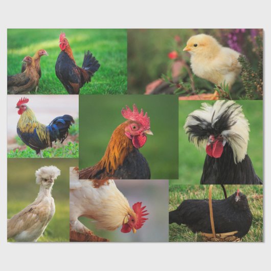 Papier Cadeau Collage photo de la ferme de poulets (Plat)