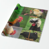 Papier Cadeau Collage photo de la ferme de poulets (Déroulé)