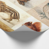 Papier Cadeau COLLECTION D'ART FINE / Dessins Animaux Parchemin (Coin)
