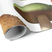 Papier Cadeau Collection de champignons Design Motif (Coin rond)