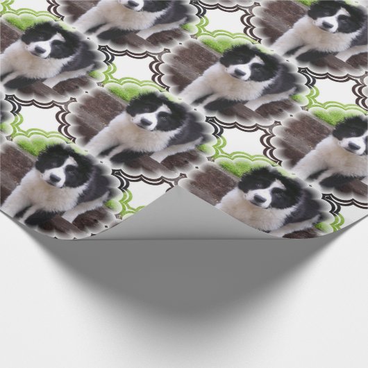 Papier Cadeau Colleys de frontière (Coin)