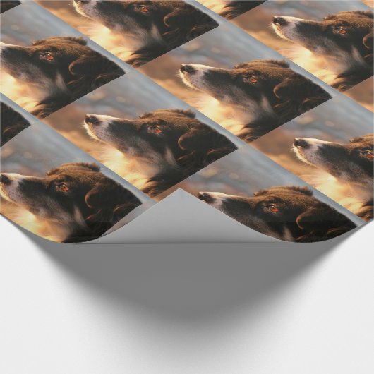 Papier Cadeau Colleys de frontière (Coin)