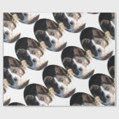 PAPIER CADEAU COLLIE FRONTALIÈRE (Plat)