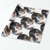 PAPIER CADEAU COLLIE FRONTALIÈRE (Déroulé)