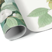 Papier Cadeau Colombe de tortue de la Caroline, oiseaux de (Coin rond)