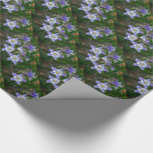 Papier Cadeau Colonne bleue (Coin)