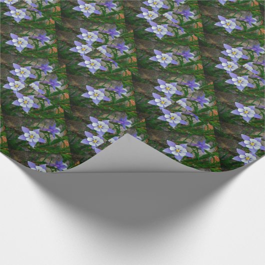 Papier Cadeau Colonne bleue (Coin)