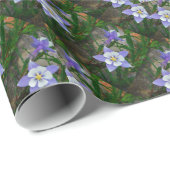 Papier Cadeau Colonne bleue (Coin rond)