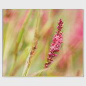 Papier Cadeau coloris (Plat)