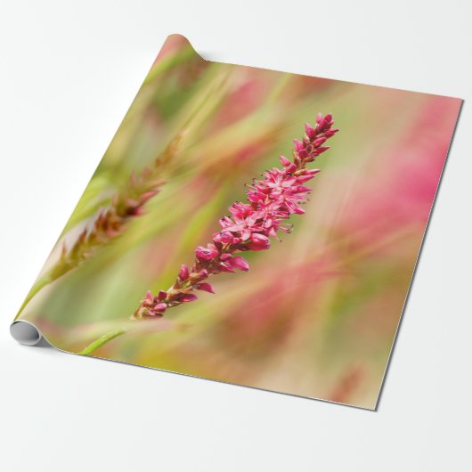 Papier Cadeau coloris (Déroulé)