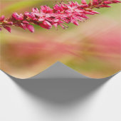 Papier Cadeau coloris (Coin)