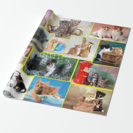 Papier Cadeau Composition de chaton cuite (Déroulé)