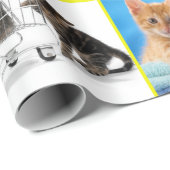 Papier Cadeau Composition de chaton cuite (Coin rond)