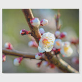 Papier Cadeau Composition Florale Des Fleurs Japonaises D'Aprico (Plat)