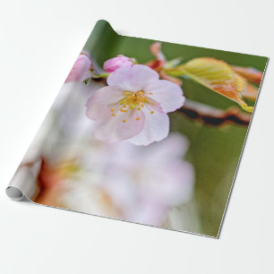 Papier Cadeau Composition Florale Naturelle Des Fleurs Sakura