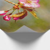 Papier Cadeau Composition Naturelle Des Fleurs Sakura (Coin)