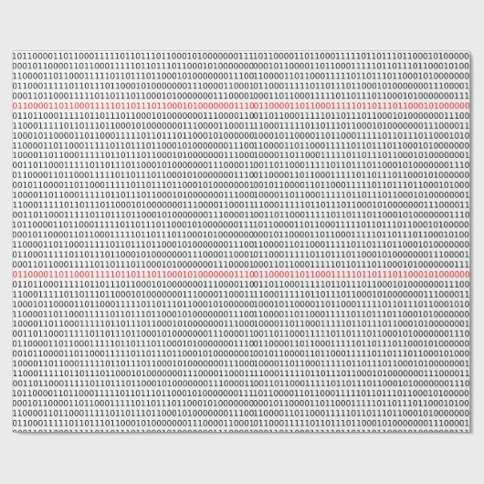 Papier Cadeau Computer Science Binary (noir et rouge) (Plat)