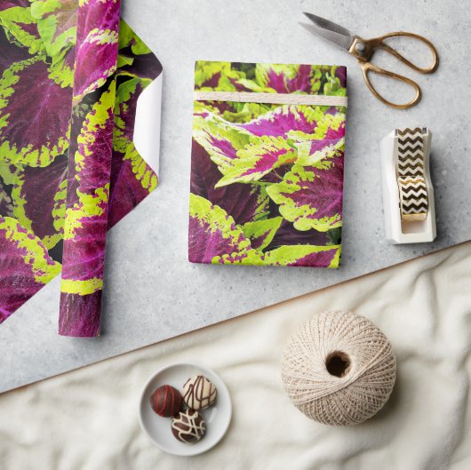 Papier Cadeau Conception brillante de feuilles Coleus (Artisanat)