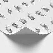 Papier Cadeau Conception britannique des escargots (Coin)